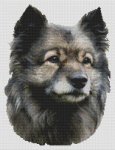(image for) Keeshond